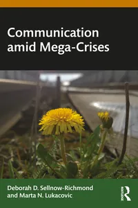 Communication amid Mega-Crises_cover
