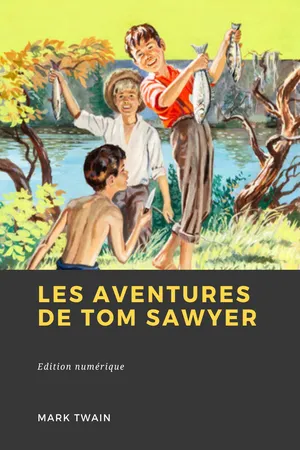 Les Aventures de Tom Sawyer