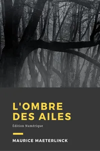 L'ombre des ailes_cover