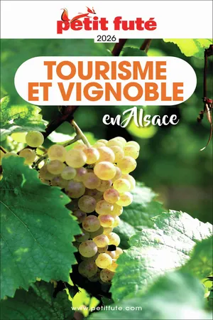 Guide Tourisme Et Vignoble En Alsace 2026/2027 Petit Futé