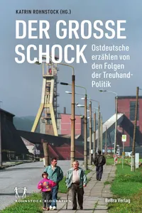 Der große Schock_cover