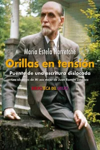 Orillas en tensión. Puente de una escritura dislocada_cover