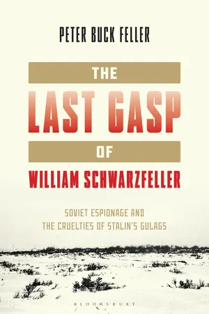 The Last Gasp of William Schwarzfeller