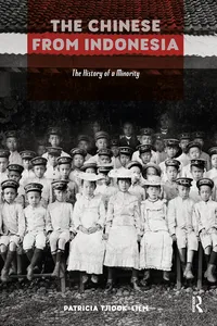 The Chinese from Indonesia_cover