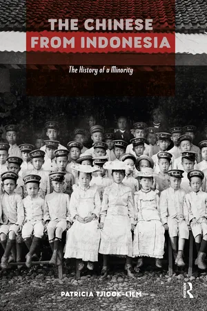 The Chinese from Indonesia