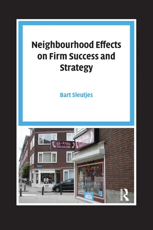 Neighbourhood Effects on Firm Success and Strategy