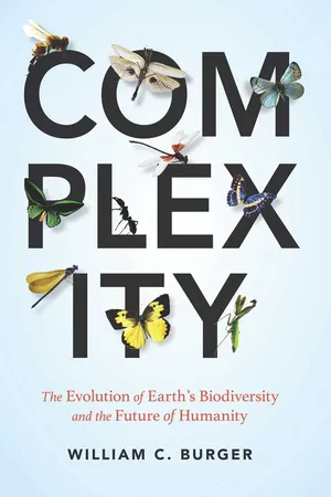 Complexity