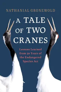 Tale of Two Cranes_cover