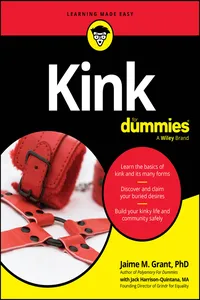 Kink For Dummies_cover