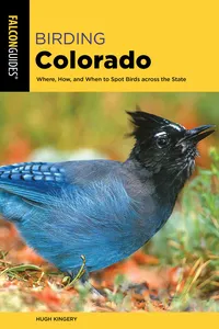 Birding Colorado_cover