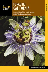 Foraging California_cover