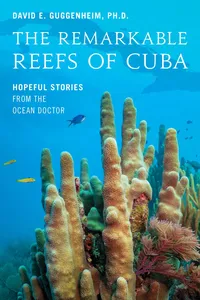 The Remarkable Reefs Of Cuba_cover