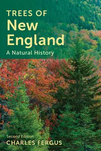 Trees of New England_cover