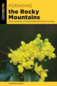 Foraging the Rocky Mountains_cover