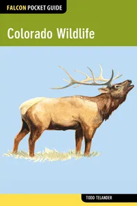 Colorado Wildlife_cover