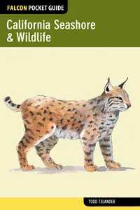 California Seashore & Wildlife_cover