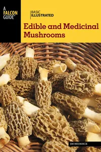 Basic Illustrated Edible and Medicinal Mushrooms_cover