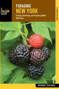 Foraging New York_cover