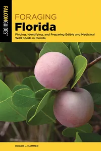 Foraging Florida_cover