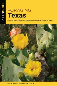 Foraging Texas_cover