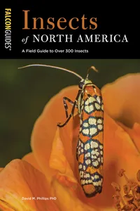 Insects of North America_cover
