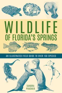Wildlife of Florida's Springs_cover
