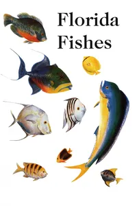 Saltwater Florida Fishes_cover