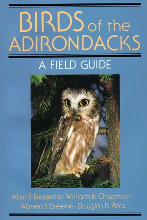 Birds Of The Adirondacks