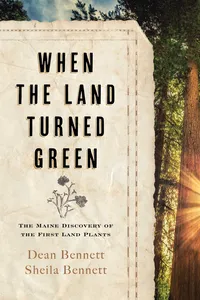When the Land Turned Green_cover