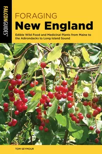Foraging New England_cover