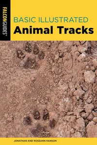 Basic Illustrated Animal Tracks_cover