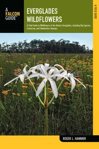 Everglades Wildflowers_cover