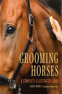 Grooming Horses_cover