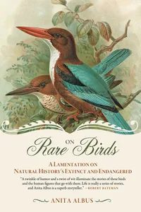On Rare Birds_cover