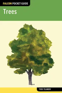 Falcon Pocket Guide: Trees_cover