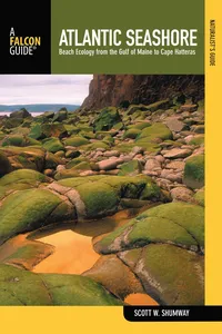 Naturalist's Guide to the Atlantic Seashore_cover