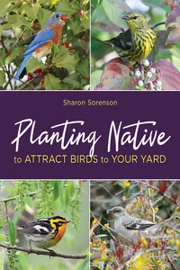 Planting Native to Attract Birds to Your Yard_cover