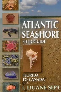 Atlantic Seashore Field Guide_cover