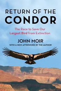 Return of the Condor_cover