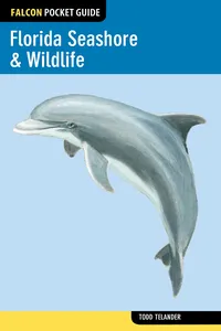 Florida Seashore & Wildlife_cover