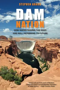 Dam Nation_cover
