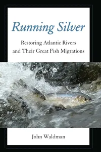 Running Silver_cover