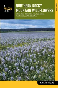 Northern Rocky Mountain Wildflowers_cover