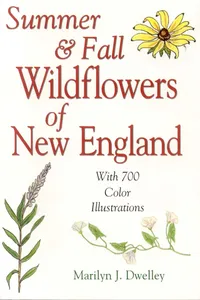 Summer & Fall Wildflowers of New England_cover