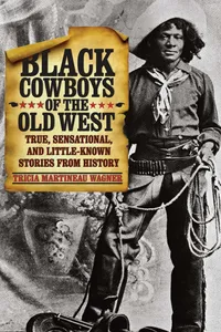 Black Cowboys of the Old West_cover