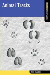 Animal Tracks_cover