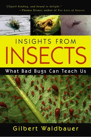 Insights From Insects