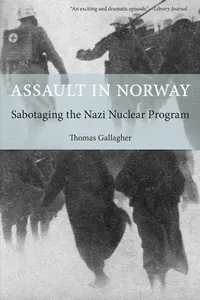 Assault in Norway_cover