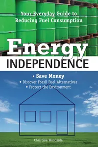 Energy Independence_cover