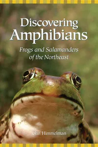 Discovering Amphibians_cover